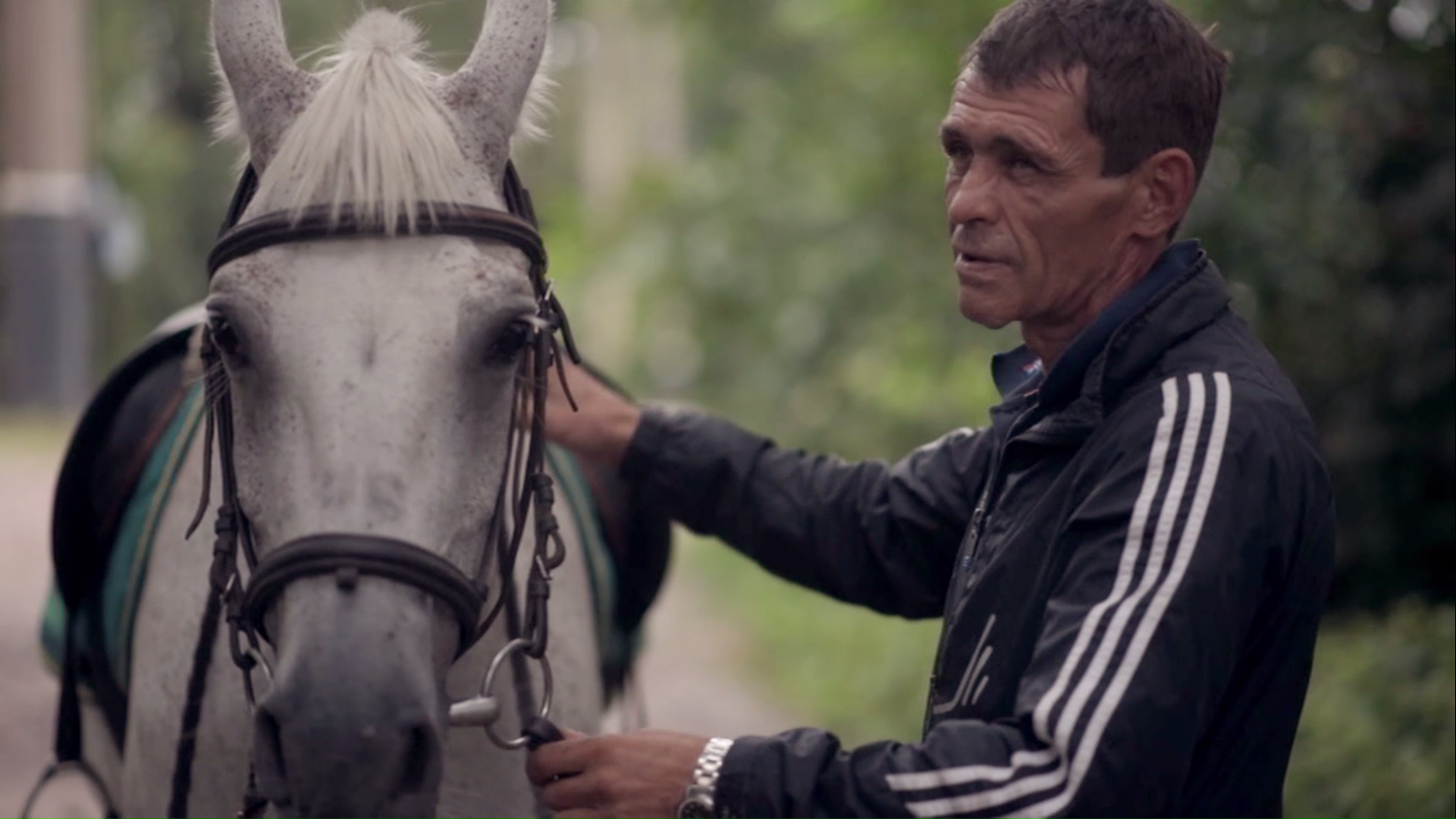 04 greyhorses 17