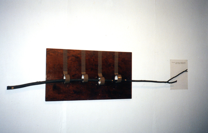 Андрей Монастырский, Ветка, 1995 vetka ISPR mail